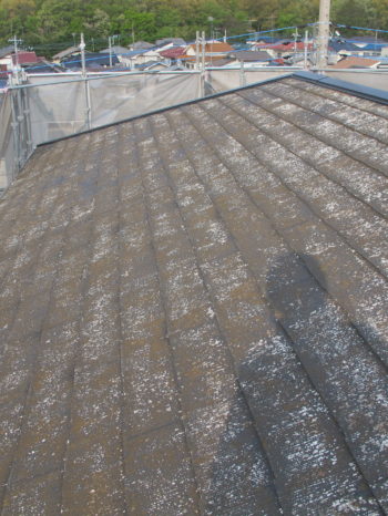 柏市T様邸の屋根高圧洗浄後の様子